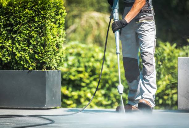 Best Rust Removal  in Umatilla, FL