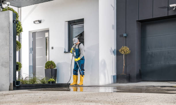 Best Roof Washing  in Umatilla, FL