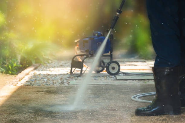 Best Driveway Pressure Washing  in Umatilla, FL